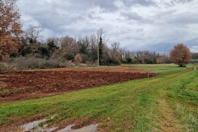 Terreno edificabile ai margini della zona edificabile nelle vicinanze di Brtonigla - Verteneglio