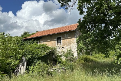 A beautiful stone house for renovation in a secluded area with a large yard and a view of the greenery in Oprtlje
