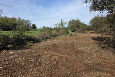 Building land near Umag