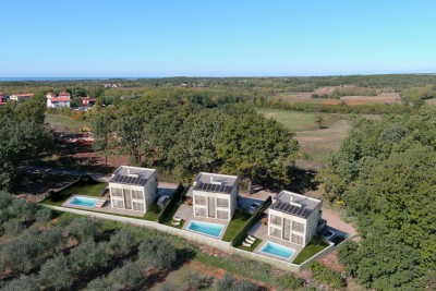 Modern villa with a swimming pool near Brtonigla