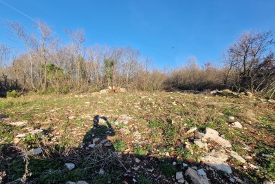 Building land near Buje, Plovanija