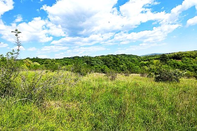 Agricultural land in the vicinity of Umag